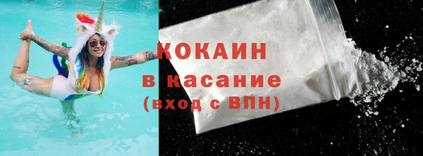 индика Богородицк