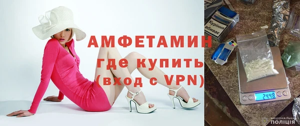 индика Богородицк