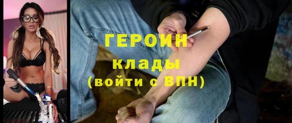 индика Богородицк