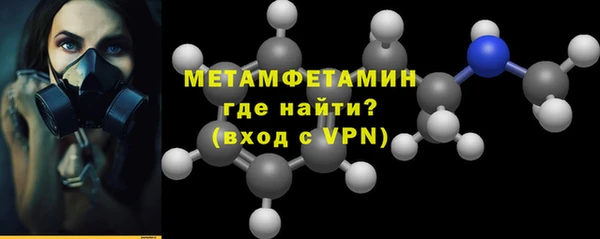 индика Богородицк