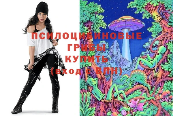 мяу мяу мука Беломорск