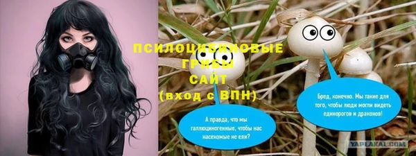 каннабис Белокуриха