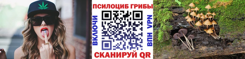 Псилоцибиновые грибы Cubensis Дрезна